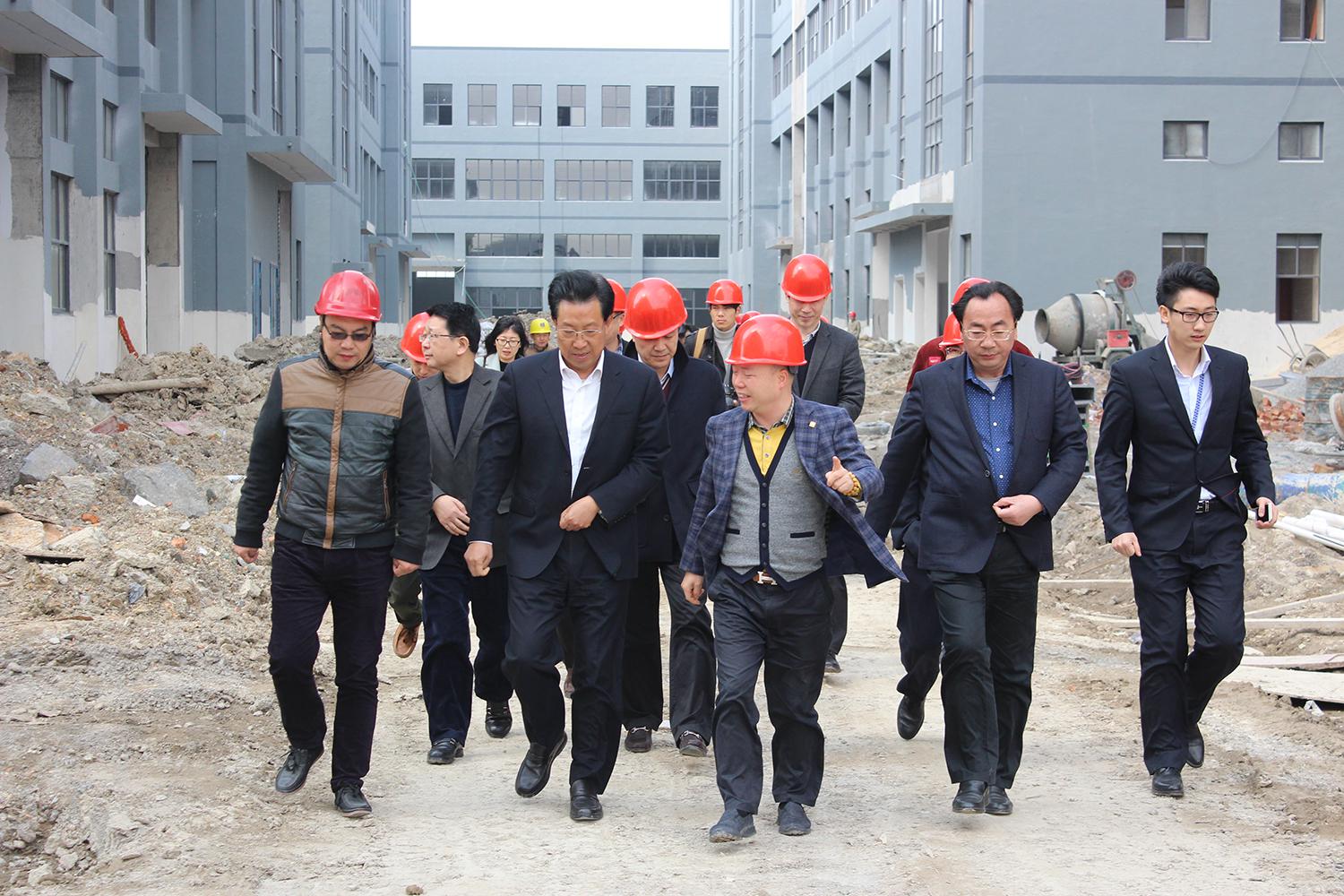 2016年3月浙江省委副书记王辉忠等领导莅临盛威国际视察指导工作.JPG